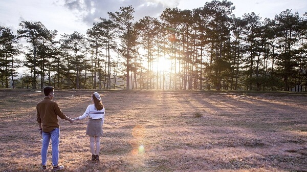 L'herbe rose à Da Lat