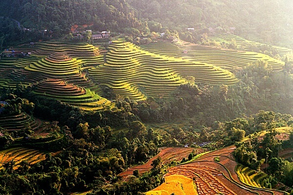 Un matin à Thong Nguyen