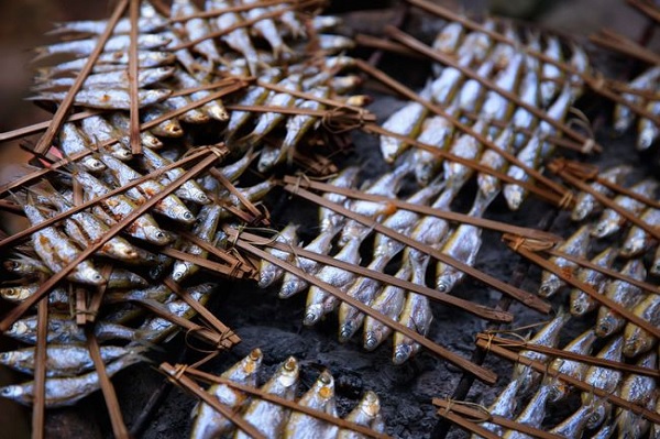 Poisson grillé chez les Tay