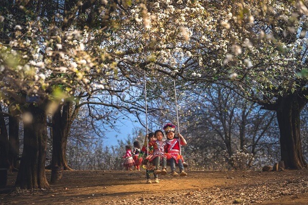 Cadre féerique de la région Moc Chau dans le nord-ouest