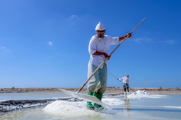 La fabrique du sel à Ninh Thuan