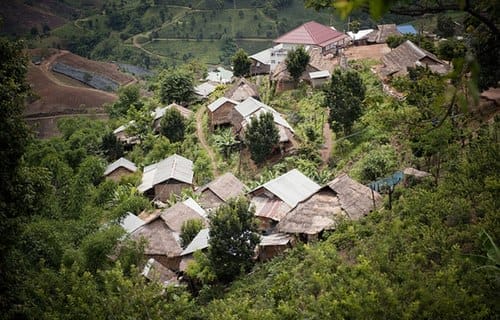 Rose-éclatante-du-voyage-en-Thaïlande