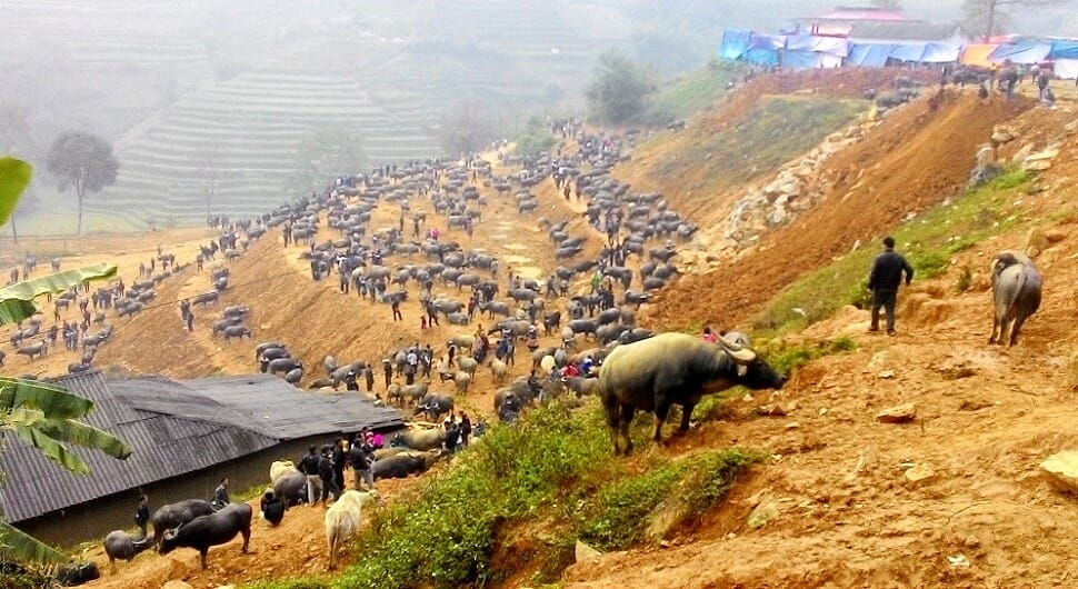 Circuit Vietnam 14 jours authentique marché bac ha 