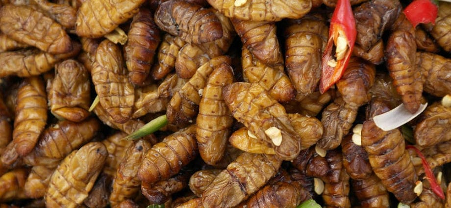 insecte-cuisine-cambode