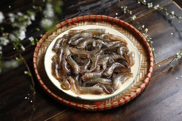 Choisissez de grosses crevettes