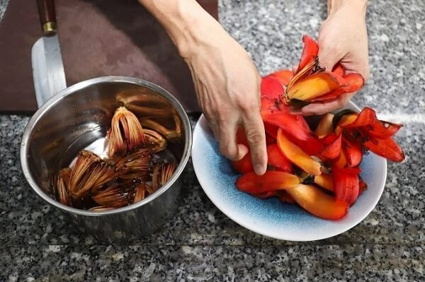 Comment traiter des fleurs Bombax