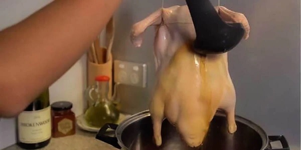 La coloration est une étape très importante