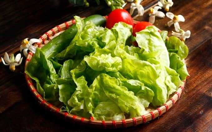 Laitues, le concombre, les tomates