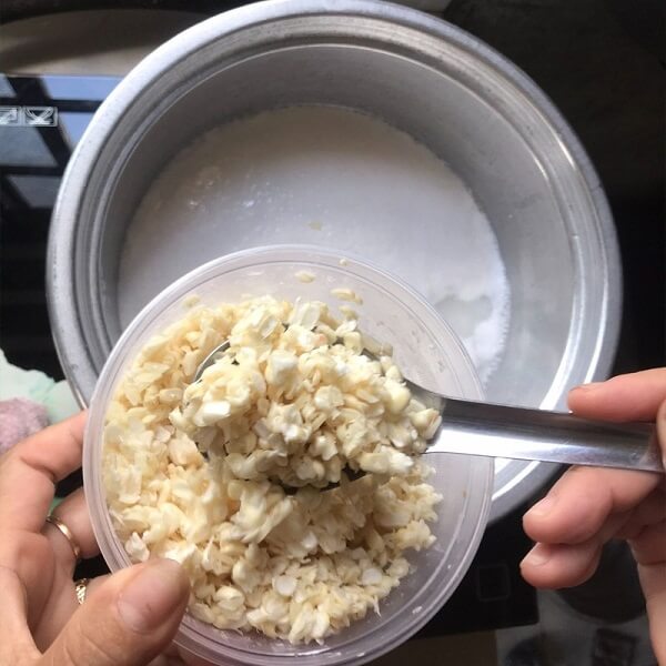 Le maïs cireux en premier