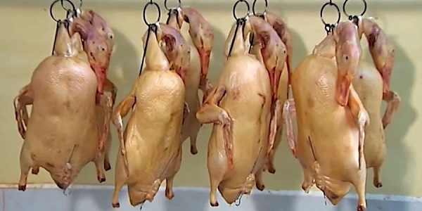 Ne percez pas la peau