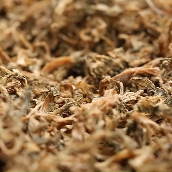 Séchez les entre 7 à 10 jours