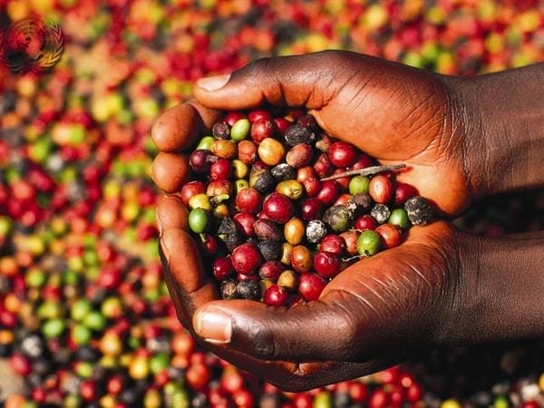 Le-café-filtre-dans-la-culture-vietnamienne