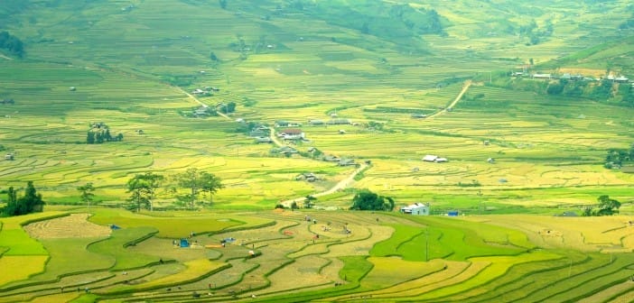 Région de Mu Cang Chai
