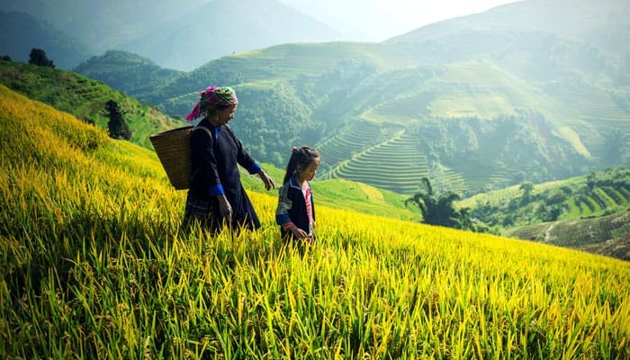 Province de Lao Cai au Vietnam