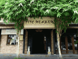 Le musee fito
