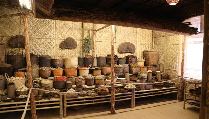 Le musee medecine traditionnelle a Saigon