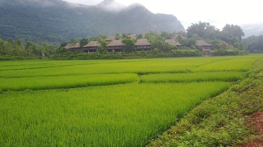 Meilleur circuit Vietnam 15 jours mai chau