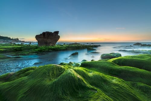 La-plage-Co-Thach-à-Binh-Thuan