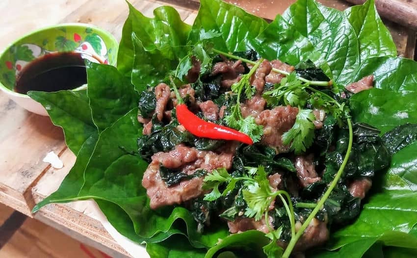 Plat populaire du sud, « Gỏi Cuốn Bò Lá Lốt »