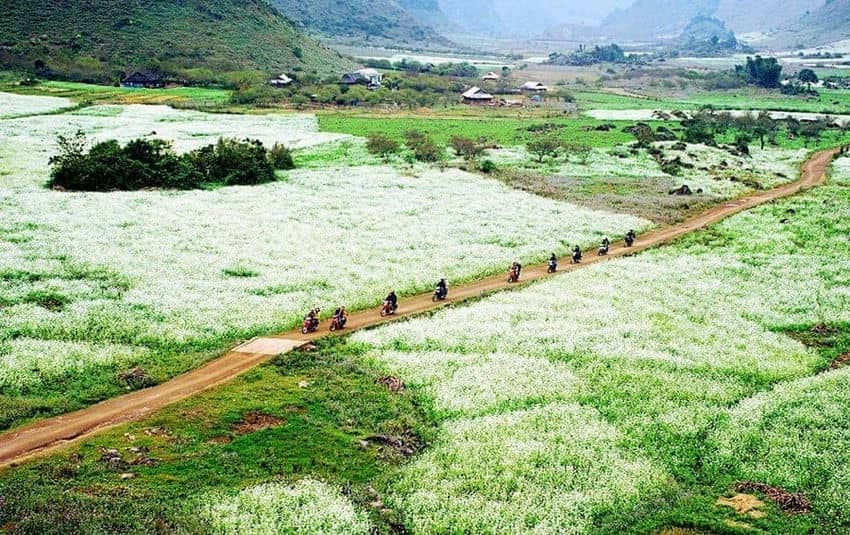  Que faire Moc Chau 3 jours village thong cuong