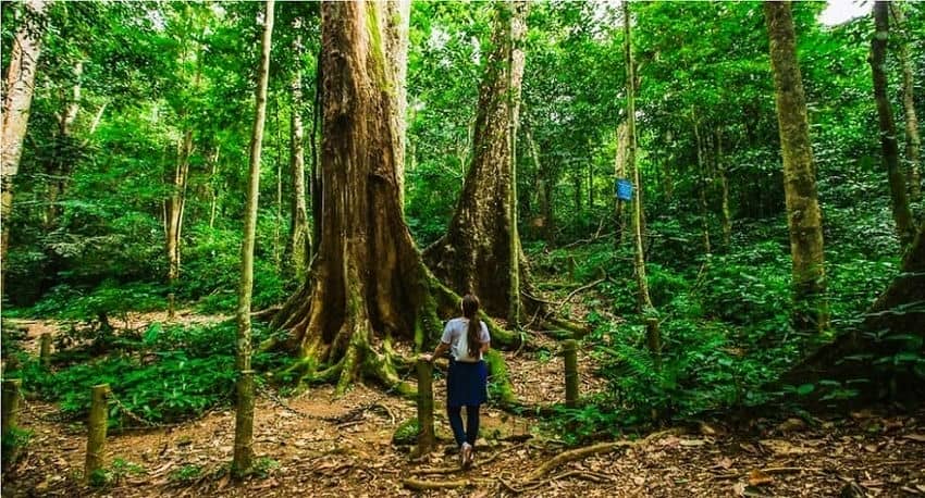 Que faire Ninh Binh 3 jours parc national cuc phuong