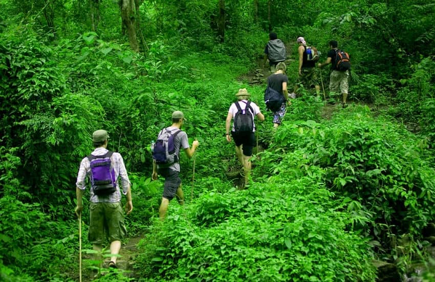 Que faire Phu Quoc 3 jours parc national