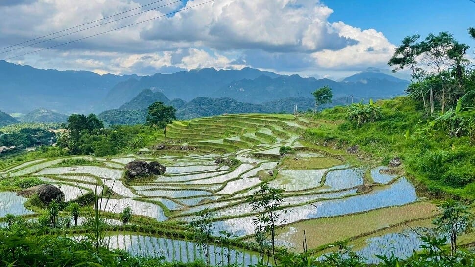 Que faire Pu Luong 3 jours rizières terrasse 