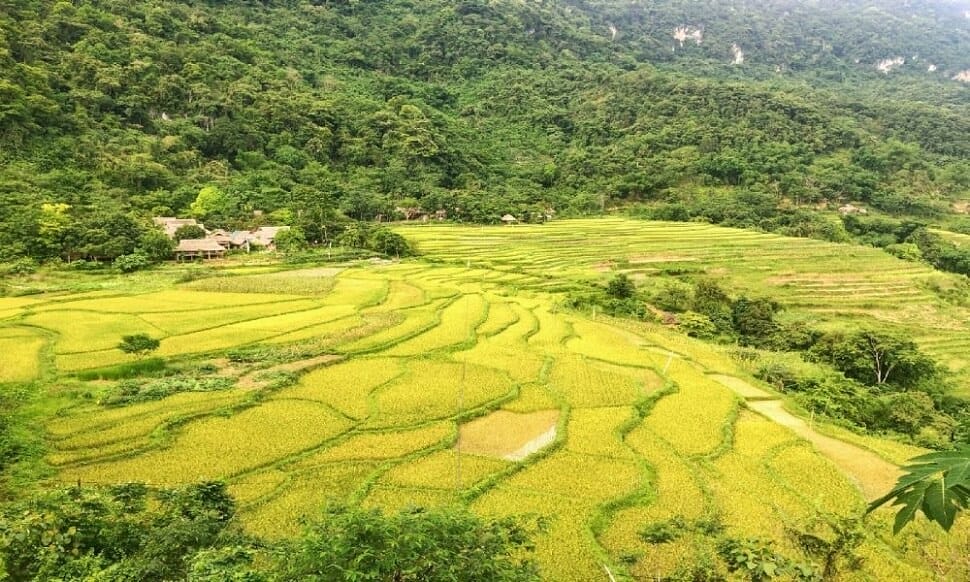 Que faire Pu Luong 3 jours kho muong 