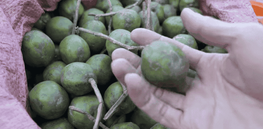 soupe-aigre-douce-vietnamien