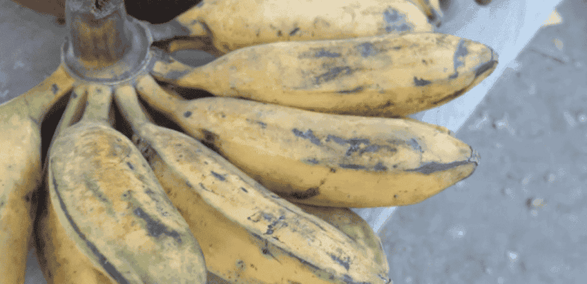 comment acheter les banane au vietnam