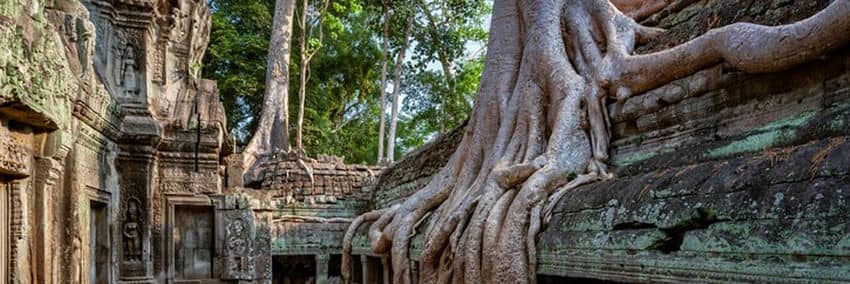 ta-prohm