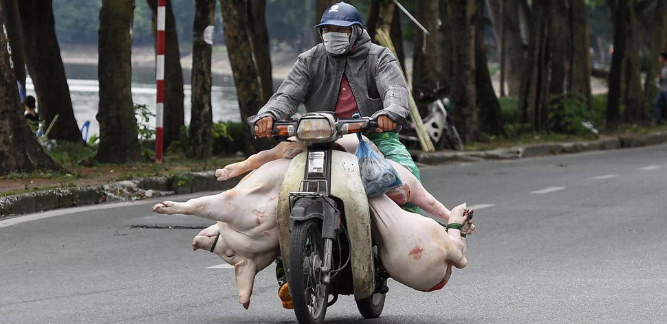 moto-hanoi