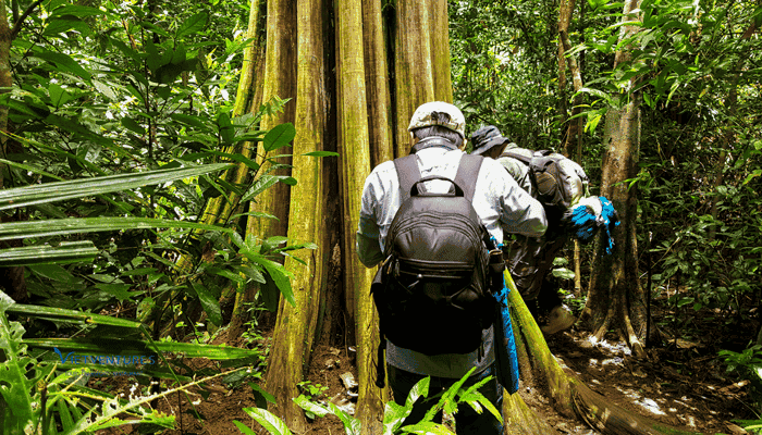 Novembre est le mois parfait pour des randonnées
