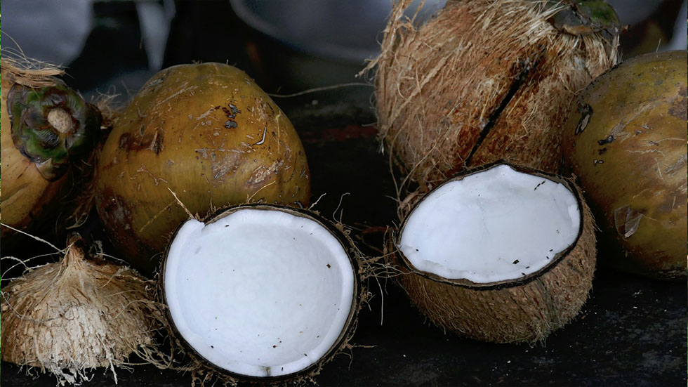 On compte 500 millions de noix de coco par an