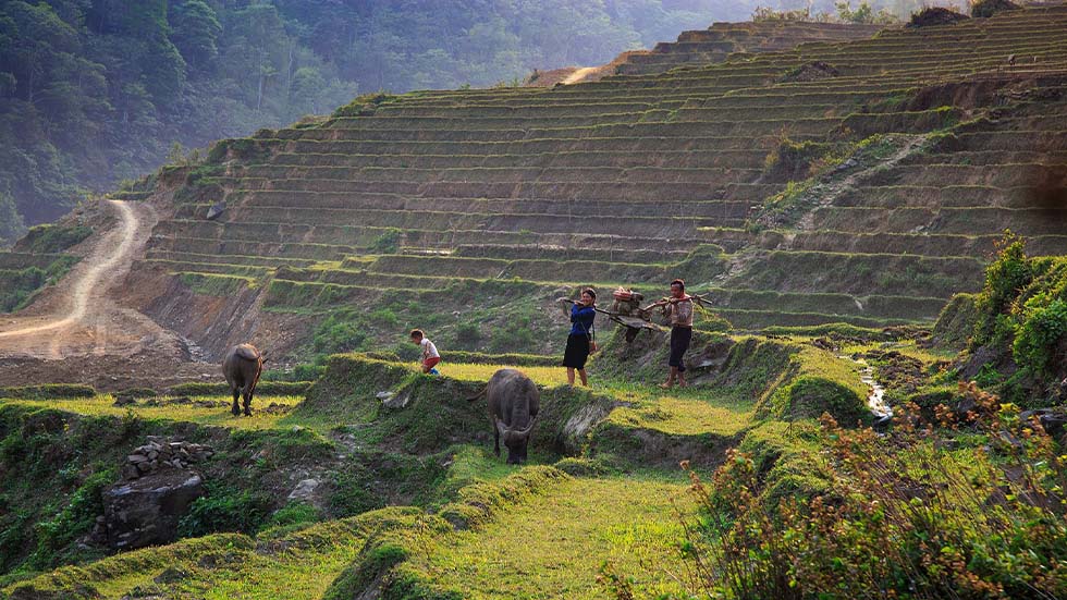 Le travail acharné des paysans issus des ethnies