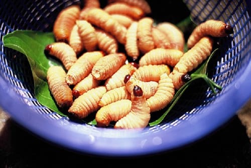 Plats-typiques-dans-le-Mekong