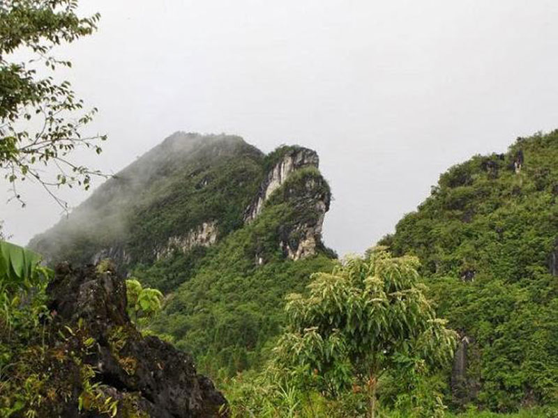 Mont-Ham-Rong-a-Sapa