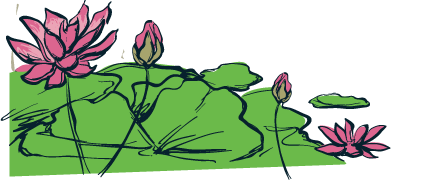 dessin-lotus