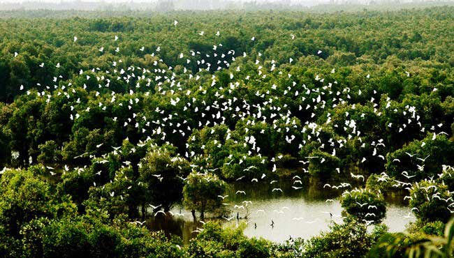 Le-jardin-de-cigognes-de-bang-lang