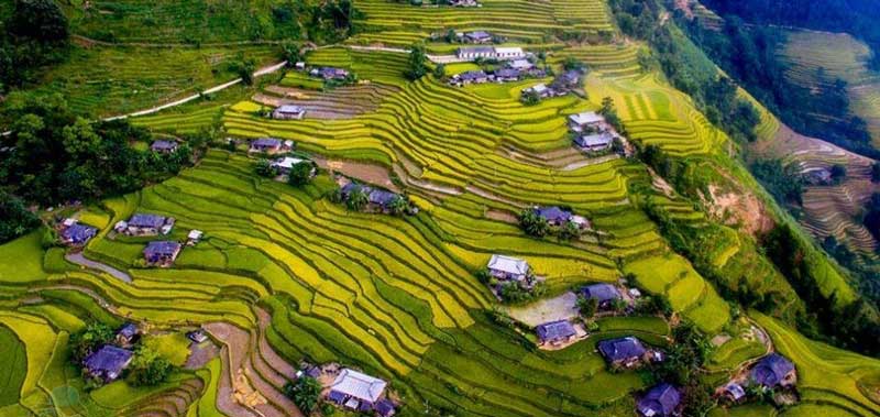 riziere-montagne-terrasse-nord-du-vietnam