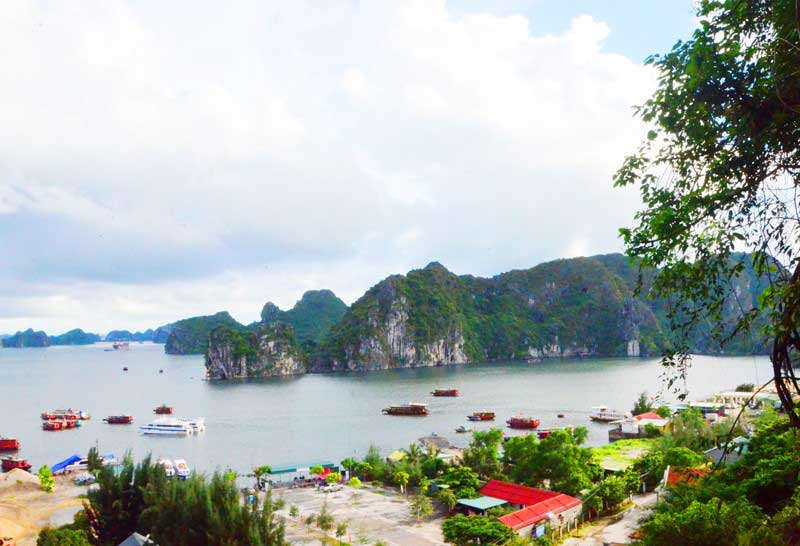 La destination attrayante à Quang Ninh