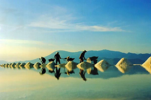 Les plus beaux champs de sel